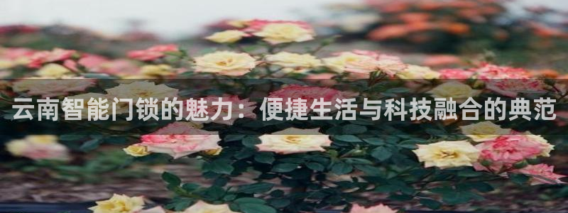 富联娱乐万六七五一38：云南智能门锁的魅力：便捷生活与科技融