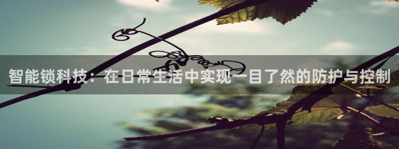 富联娱乐注册反判官333OO：智能锁科技：在日常生活中实现一
