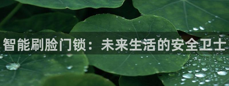 富联娱乐代理怎么样啊：智能刷脸门锁：未来生活的安全卫士