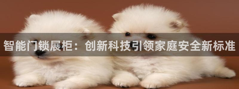 富联娱乐招商财判官333OO：智能门锁展柜：创新科技引领家庭