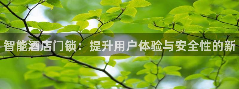 富联娱乐主管那判官333OO：智能酒店门锁：提升用户体验与安