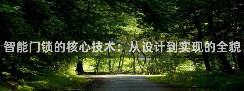 富联娱乐招商命判官333OO：智能门锁的核心技术：从设计到实