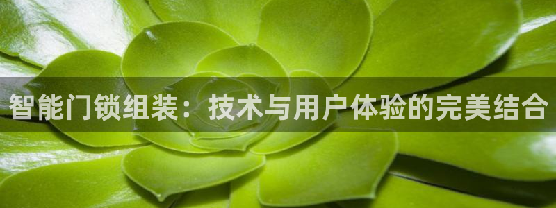 富联娱乐首页官网入口：智能门锁组装：技术与用户体验的完美结合