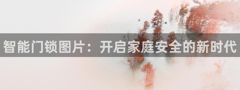 联富娱乐有限公司：智能门锁图片：开启家庭安全的新时代