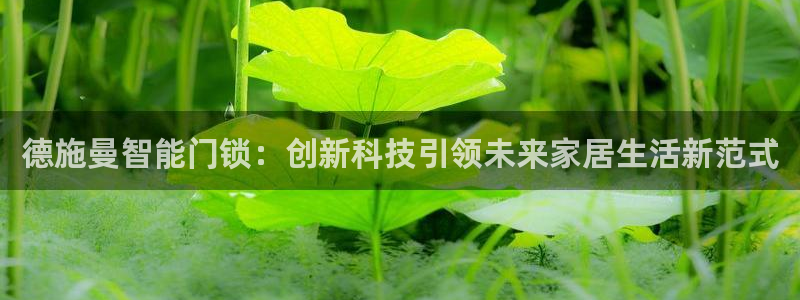 富联娱乐公司简介：德施曼智能门锁：创新科技引领未来家居生活新