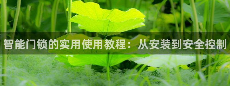 富联娱乐官网登录入口：智能门锁的实用使用教程：从安装到安全控