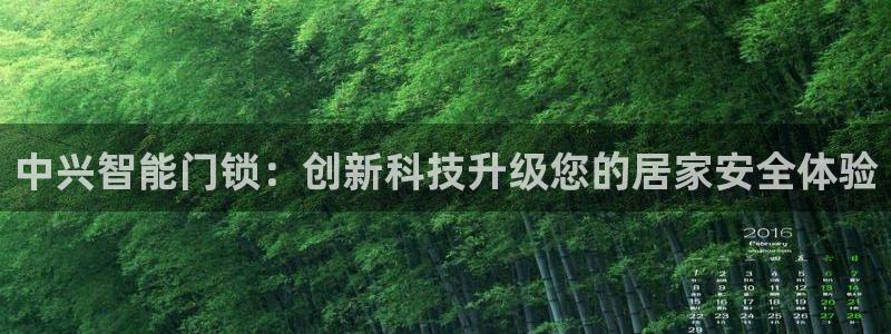 富联娱乐注册教判官333OO：中兴智能门锁：创新科技升级您的