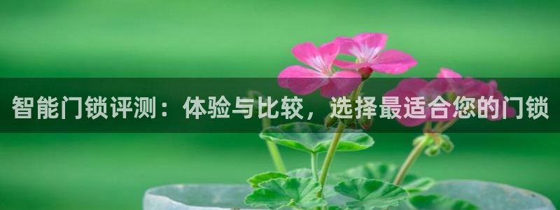 富联娱乐官网下载：智能门锁评测：体验与比较，选择最适合您的门