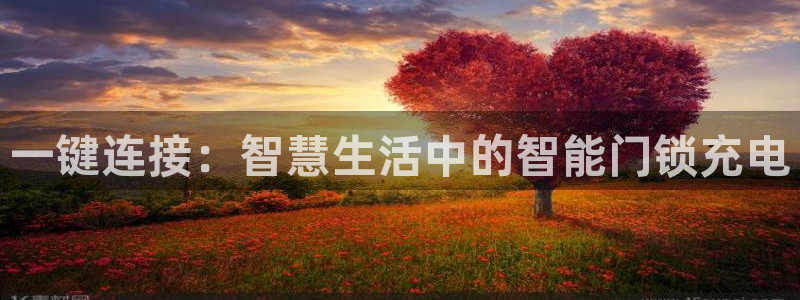 富联娱乐开户条件要求：一键连接：智慧生活中的智能门锁充电