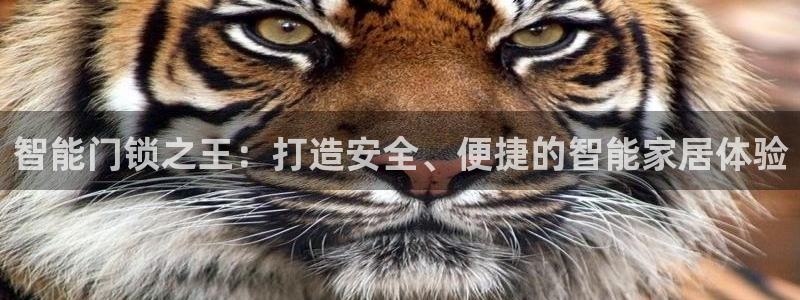 富联娱乐app更新不了：智能门锁之王：打造安全、便捷的智能家