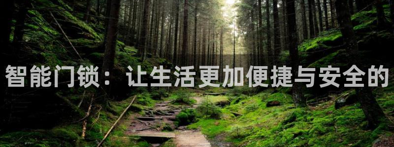 富联娱乐登录测速怎么弄：智能门锁：让生活更加便捷与安全的