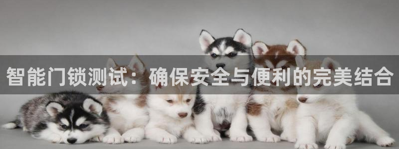 富联娱乐代理是谁开的店：智能门锁测试：确保安全与便利的完美结