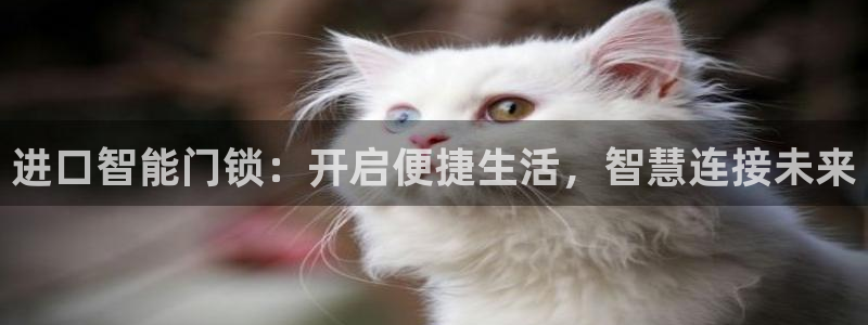 富联娱乐招商掉判官333OO：进口智能门锁：开启便捷生活，智