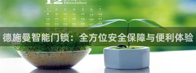 富联娱乐首页网站：德施曼智能门锁：全方位安全保障与便利体验