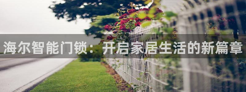 富联娱乐丈六七五一38：海尔智能门锁：开启家居生活的新篇章