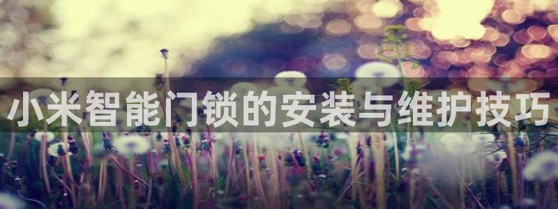 富联娱乐平台怎么样啊：小米智能门锁的安装与维护技巧