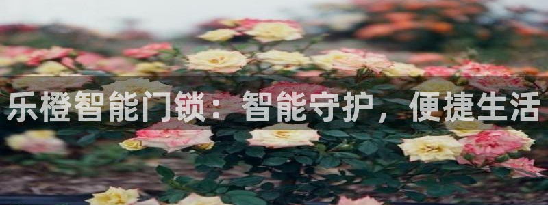 富联娱乐官网首页下载：乐橙智能门锁：智能守护，便捷生活