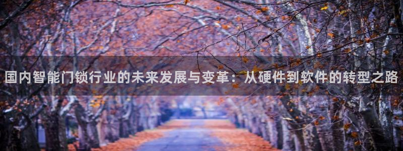 富联娱乐账号注册要钱吗：国内智能门锁行业的未来发展与变革：从