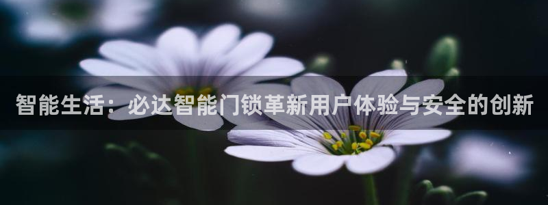 富联娱乐官方网站首页：智能生活：必达智能门锁革新用户体验与安