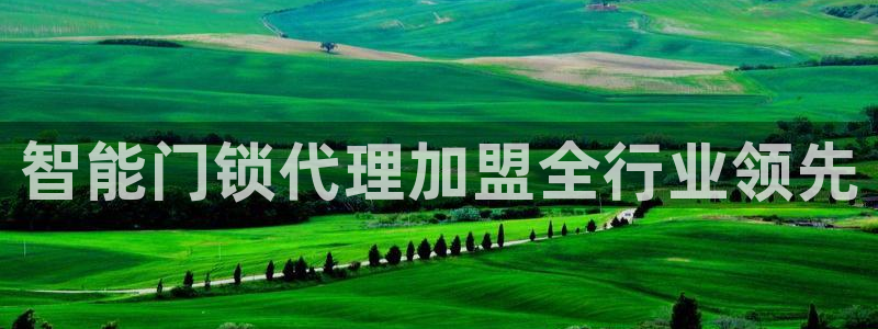 嘉峪关富联娱乐平台招聘：智能门锁代理加盟全行业领先