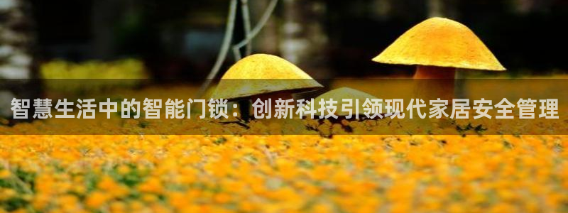 富联娱乐首页网站下载：智慧生活中的智能门锁：创新科技引领现代