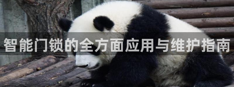 富联娱乐平台是什么公司：智能门锁的全方面应用与维护指南