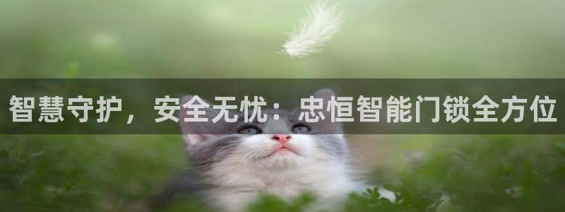 富联娱乐力67OO6：智慧守护，安全无忧：忠恒智能门锁全方位