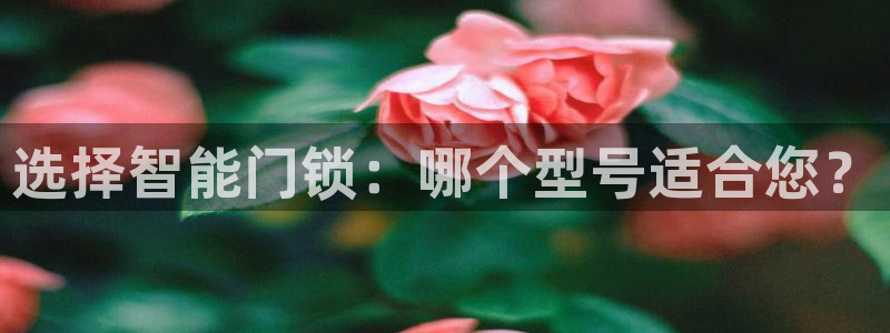 富联娱乐注册计判官333OO：选择智能门锁：哪个型号适合您？