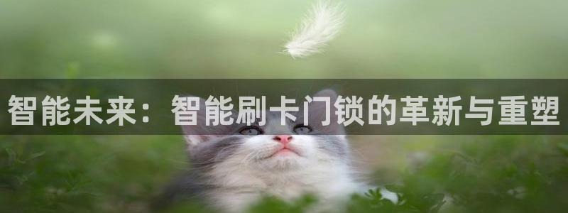 富联娱乐地址查询电话：智能未来：智能刷卡门锁的革新与重塑