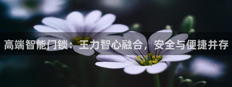 富联2娱乐注册地址在哪：高端智能门锁：王力智心融合，安全与便