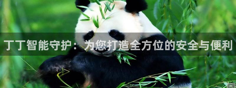 富联娱乐客户端登录：丁丁智能守护：为您打造全方位的安全与便利