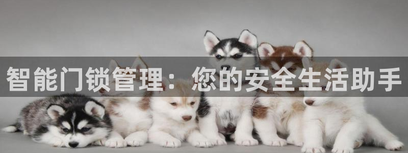 富联娱乐主管77903：智能门锁管理：您的安全生活助手