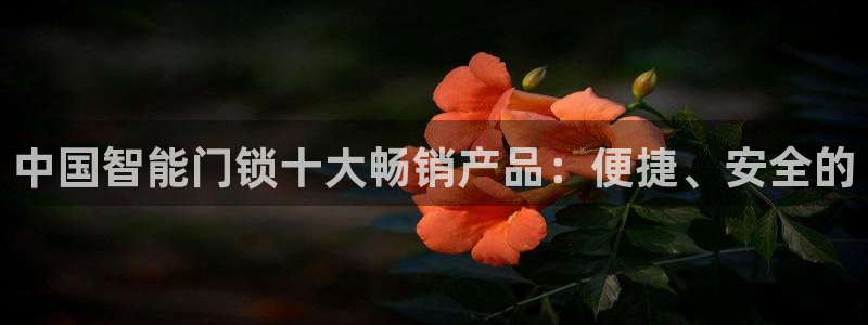 富联娱乐代理是谁做的啊：中国智能门锁十大畅销产品：便捷、安全