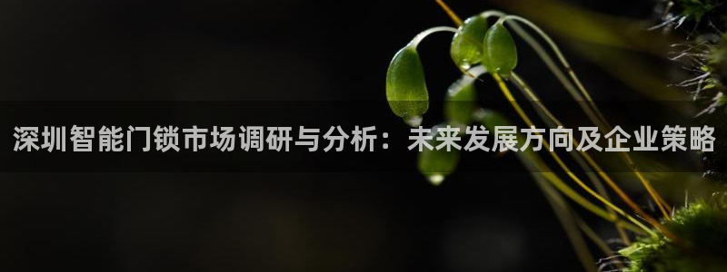 台湾富联娱乐：深圳智能门锁市场调研与分析：未来发展方向及企业