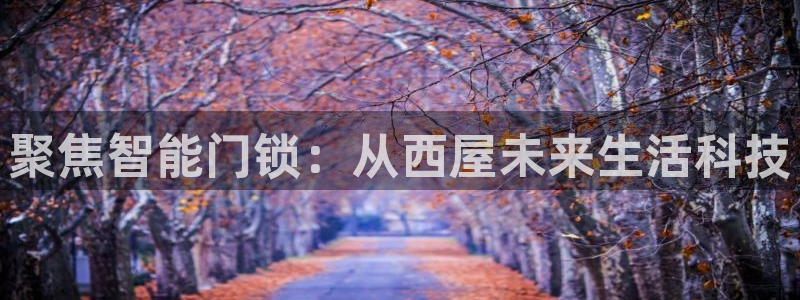 富联娱乐在线网站首页：聚焦智能门锁：从西屋未来生活科技