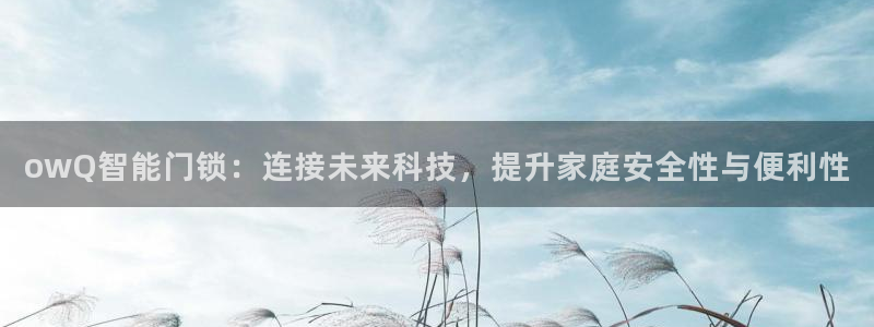 富联娱乐app更新时间：owQ智能门锁：连接未来科技，提升家