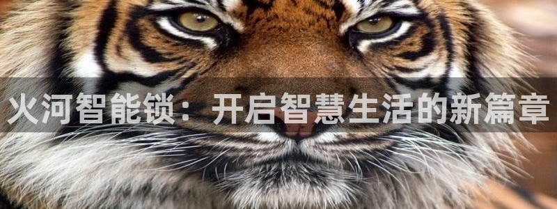 富联娱乐注册地址查询：火河智能锁：开启智慧生活的新篇章