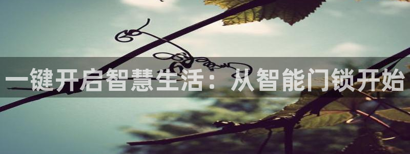 富联娱乐开户条件：一键开启智慧生活：从智能门锁开始