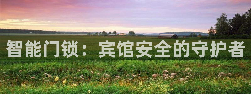 富联娱乐app官方下载最新版：智能门锁：宾馆安全的守护者