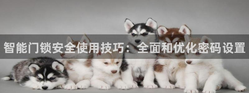 富联娱乐账号注册：智能门锁安全使用技巧：全面和优化密码设置