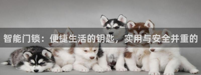 富联娱乐逐333OO：智能门锁：便捷生活的钥匙，实用与安全并