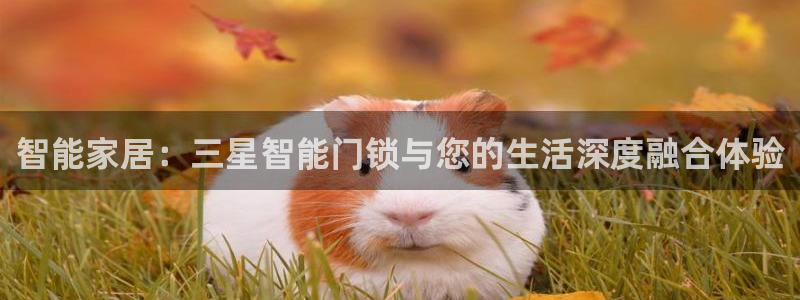 富联娱乐在线：智能家居：三星智能门锁与您的生活深度融合体验