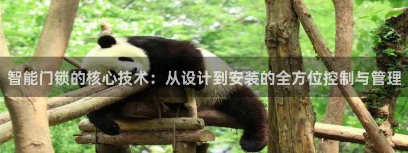 富联娱乐登录链接：智能门锁的核心技术：从设计到安装的全方位控