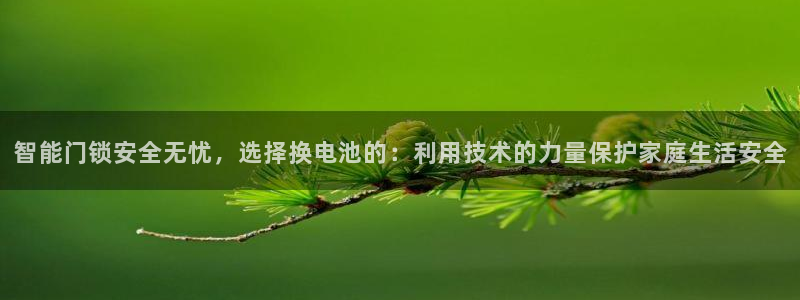 富联娱乐登录测速软件：智能门锁安全无忧，选择换电池的：利用技