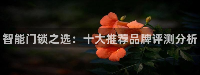 富联娱乐卜六七五一三八：智能门锁之选：十大推荐品牌评测分析