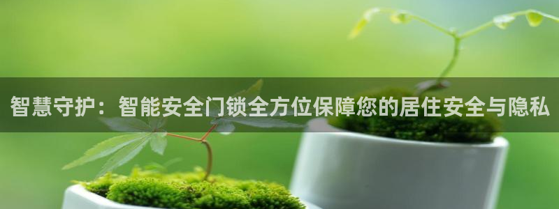 富联娱乐 找86555：智慧守护：智能安全门锁全方位保障您的