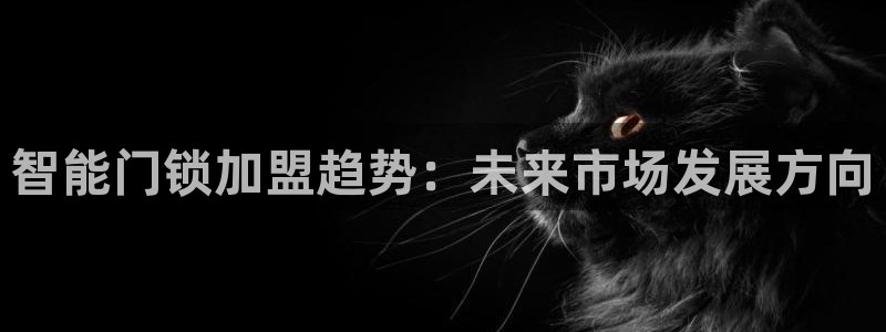 富联娱乐官网首页：智能门锁加盟趋势：未来市场发展方向