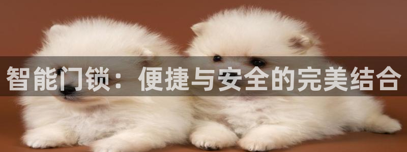 富联娱乐主管料判官333OO：智能门锁：便捷与安全的完美结合
