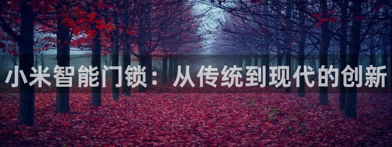 富联娱乐主管是什么职位：小米智能门锁：从传统到现代的创新