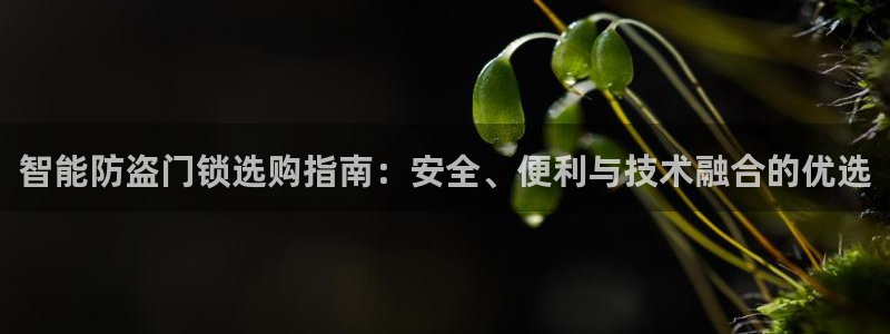 富联娱乐招商天神779O3：智能防盗门锁选购指南：安全、便利